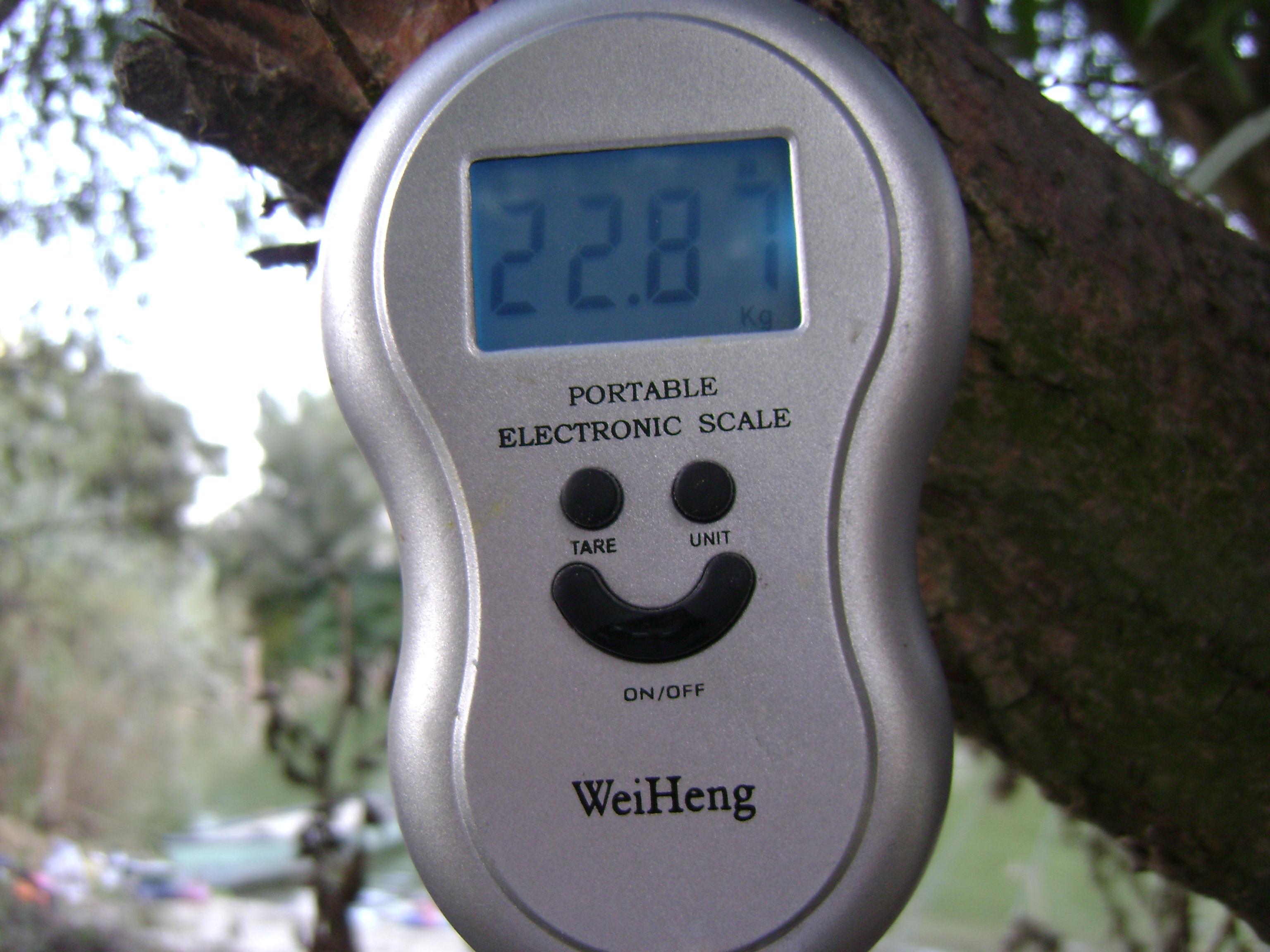 delta octombrie 2012 - delta octombrie 2012 051.JPG